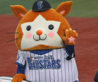 野球観戦が趣味です。