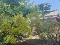 事務所中庭の様子