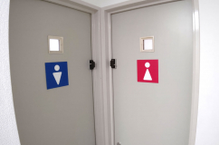 トイレは男女別に設置されています。