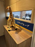エントランス（キリンがお客様をお出迎え）